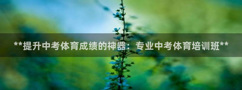 极悦平台平台注册方法与步骤：**提升中考体育成绩的神