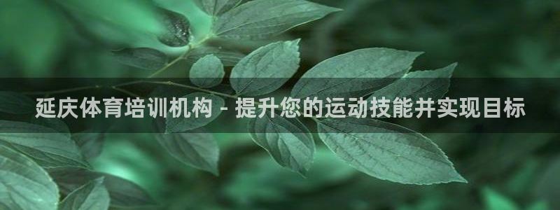 极悦平台登录方式：延庆体育培训机构 - 提升您的运动