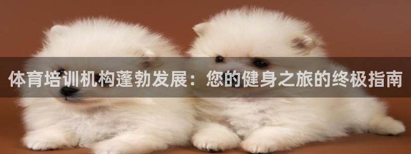 极悦平台集7O777：体育培训机构蓬勃发展：您的健身