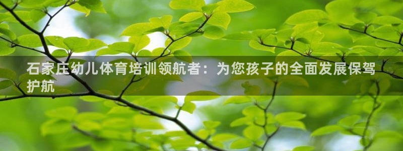 极悦平台代理怎么赚钱：石家庄幼儿体育培训领航者：为您