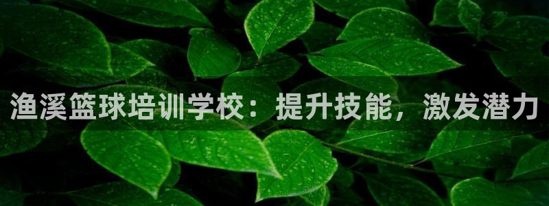 极悦平台家7O777：渔溪篮球培训学校：提升技能，激
