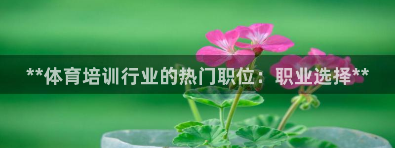 极悦平台代理怎么样啊：**体育培训行业的热门职位：职