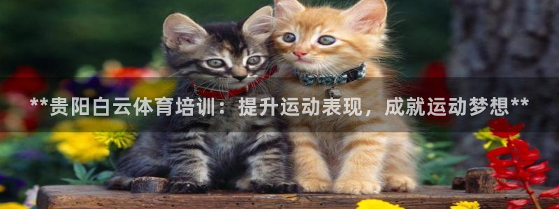 极悦官方网站app下载软件：**贵阳白云体育培训：提