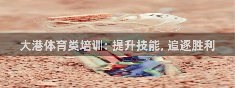 极悦平台官网入口下载：大港体育类培训: 提升技能, 