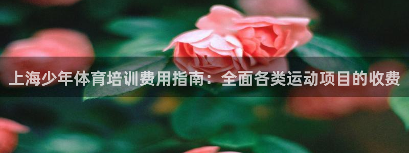 极悦平台注册太7.0.2.4怎么解决：上海少年体育培