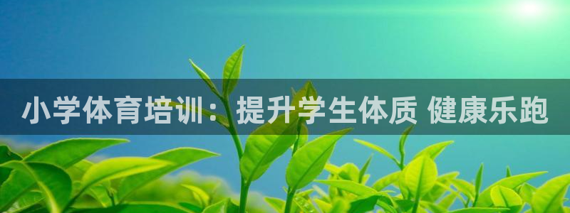 极悦平台方7O777：小学体育培训：提升学生体质 健