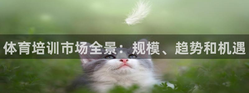 极悦娱乐代理多少钱一年：体育培训市场全景：规模、趋势