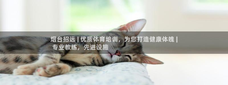 极悦官网旗舰店是正品吗：烟台招远 | 优质体育培训，