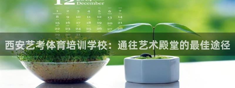 极悦牙膏好吗：西安艺考体育培训学校：通往艺术殿堂的最佳途径