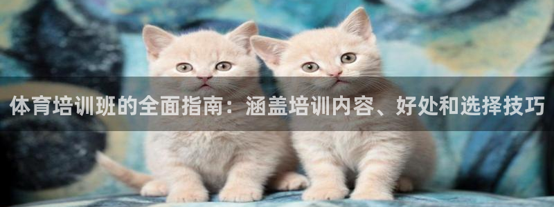 极悦平台是干什么的公司