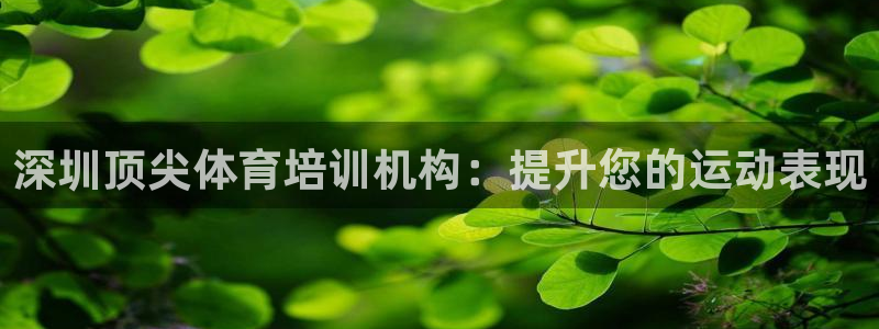 极悦平台客服投诉电话是多少：深圳顶尖体育培训机构：提升您的运