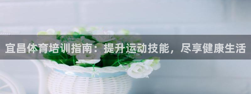 极悦娱乐是资金盘吗：宜昌体育培训指南：提升运动技能，尽享健康