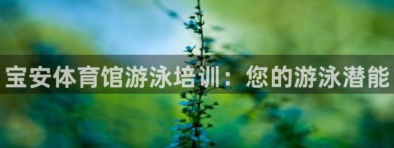 极悦平台官方网站入口网址：宝安体育馆游泳培训：您的游泳潜能
