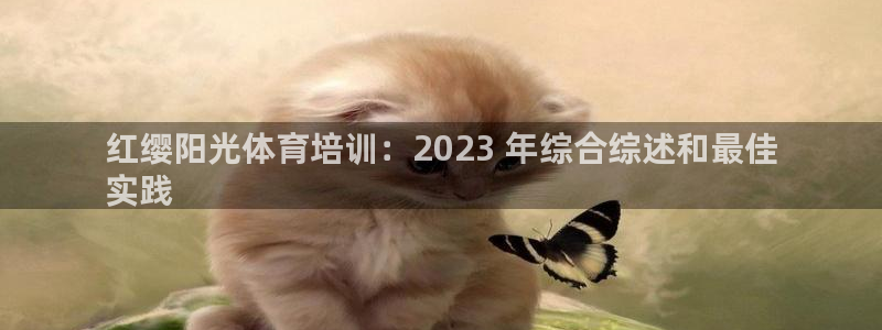极悦娱乐代理人是谁呀：红缨阳光体育培训：2023 年综合综述