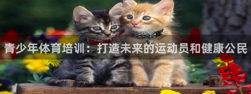 极悦娱乐代理多少钱一个月：青少年体育培训：打造未来的
