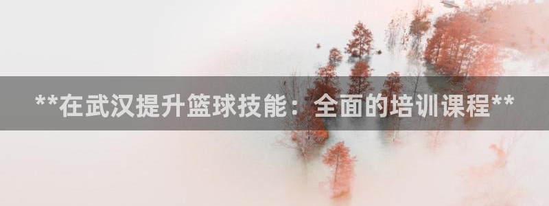 极悦娱乐贴吧最新消息：**在武汉提升篮球技能：全面的