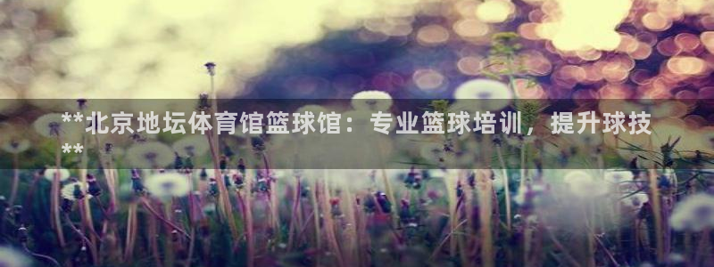 极悦平台发7O777：**北京地坛体育馆篮球馆：专业