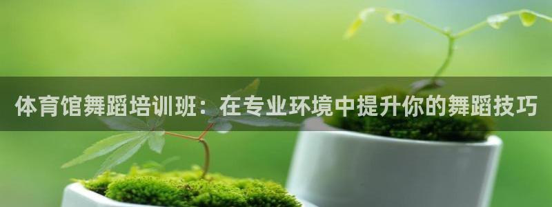 极悦官方网站入口网址：体育馆舞蹈培训班：在专业环境中