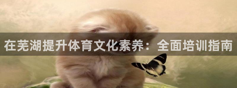 极悦平台注册申请流程详解图片：在芜湖提升体育文化素养