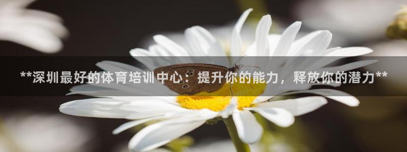 极悦平台和蓝狮平台区别是什么：**深圳最好的体育培训