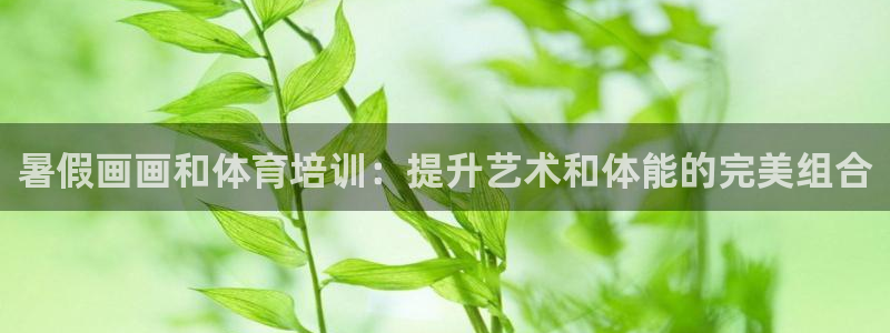 极悦平台注册登录入口：暑假画画和体育培训：提升艺术和