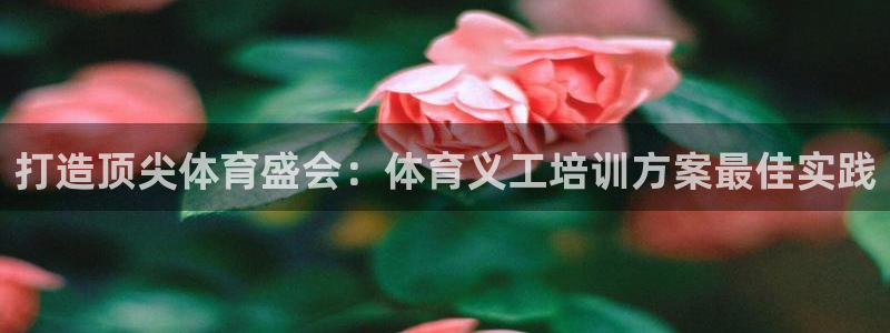 极悦官方网站入口网址是什么：打造顶尖体育盛会：体育义