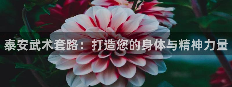 舒客极悦牙膏：泰安武术套路：打造您的身体与精神力量
