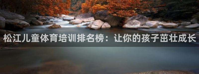 极悦平台用户评价与反馈：松江儿童体育培训排名榜：让你