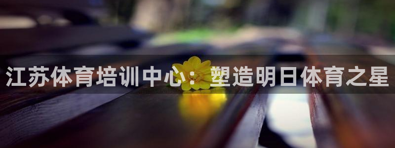 极悦平台是干嘛的：江苏体育培训中心：塑造明日体育之星