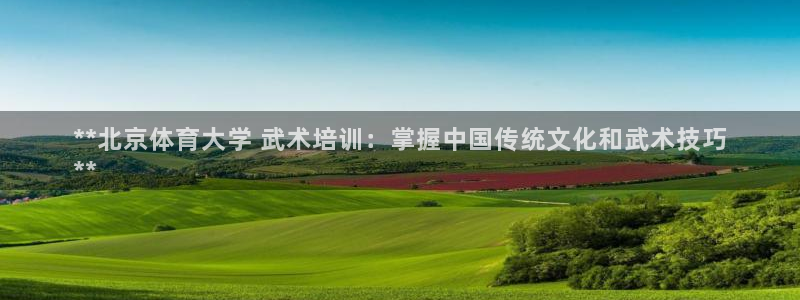极悦娱乐官网最新版本更新内容是什么