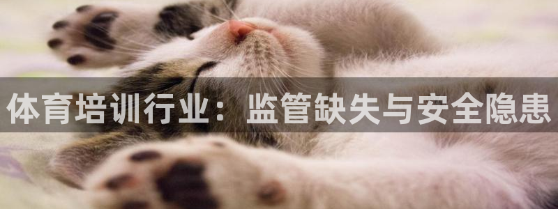 极悦娱乐公司最新招聘信息网：体育培训行业：监管缺失与