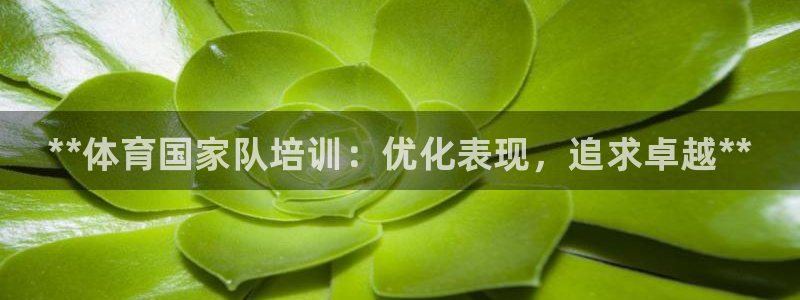 极悦平台有风险吗知乎：**体育国家队培训：优化表现，追求卓越