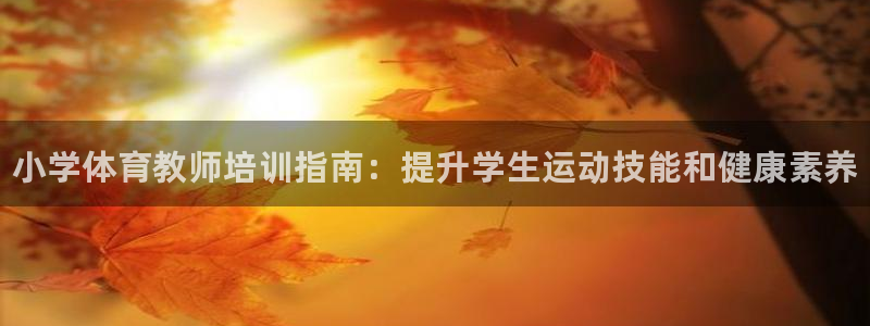极悦平台注册登录入口在哪：小学体育教师培训指南：提升学生运动