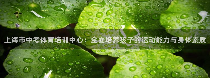 极悦娱乐代理多少钱一个月