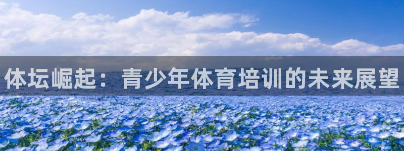 极悦平台客服团队怎么样