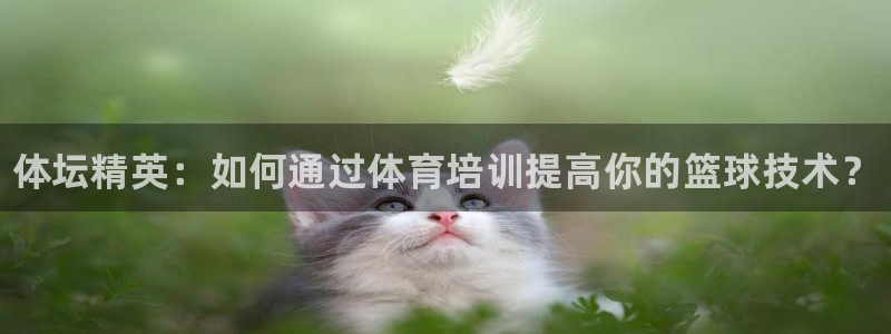 极悦平台官方网站入口链接下载