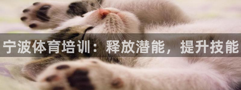 极悦官方网站app下载安卓：宁波体育培训：释放潜能，提升技能