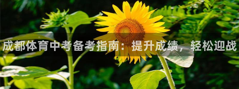 极悦平台官网登录入口下载：成都体育中考备考指南：提升