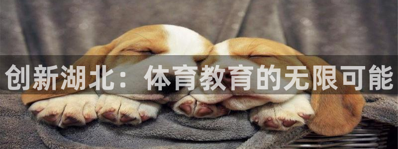 极悦平台很7O777：创新湖北：体育教育的无限可能