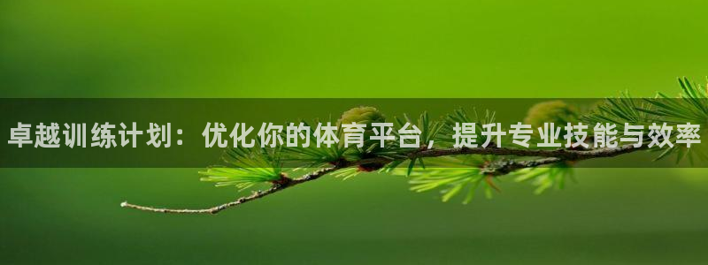 极悦平台使用注意事项：卓越训练计划：优化你的体育平台，提升专