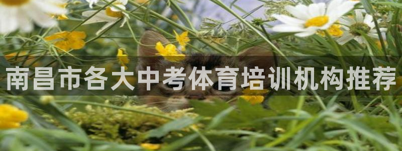 极悦娱乐会被骗吗知乎文章：南昌市各大中考体育培训机构