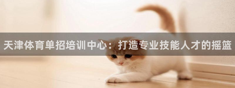 极悦娱乐游戏安全吗：天津体育单招培训中心：打造专业技