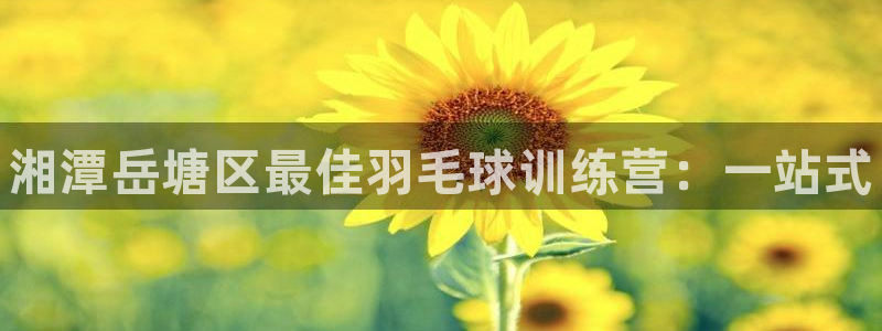 极悦娱乐官网下载app：湘潭岳塘区最佳羽毛球训练营：一站式