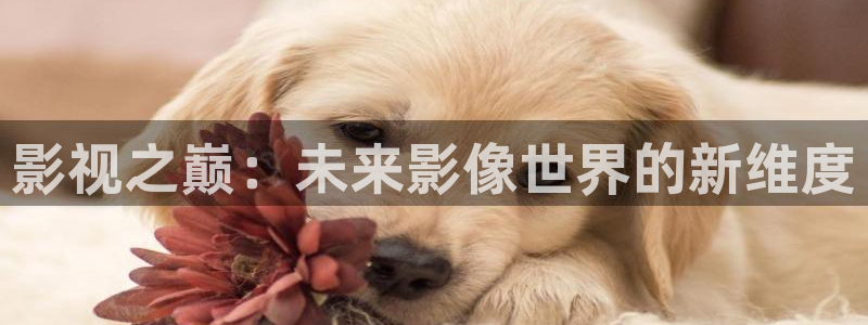 青青青草原在线
