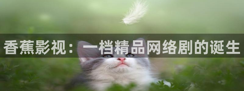 青青视频在线观看