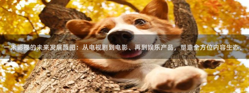 青青影院
